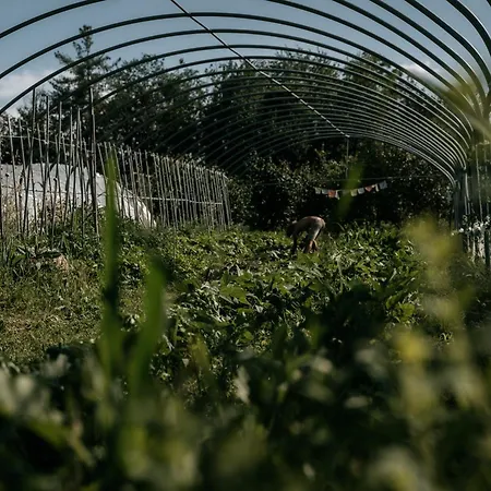 Borgo Casa Scaparone 팜스테이