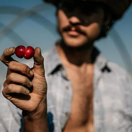 Farm stay Borgo Casa Scaparone Alba (Piedmont)