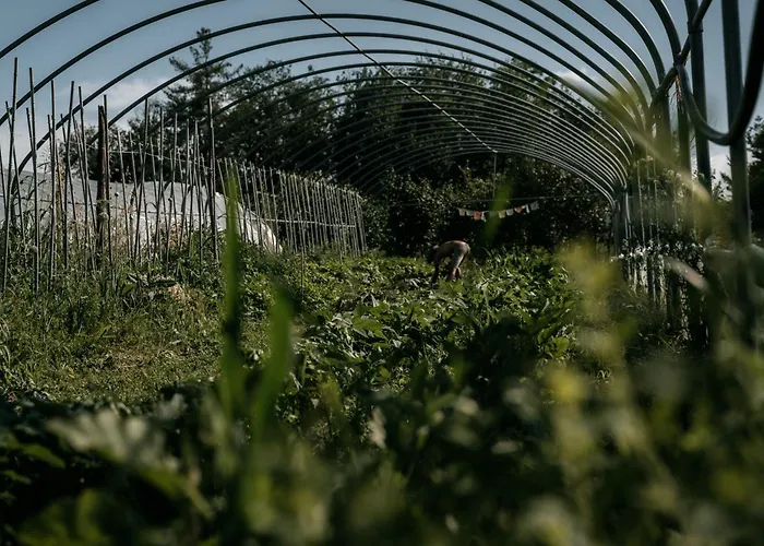 Borgo Casa Scaparone Фермерский дом