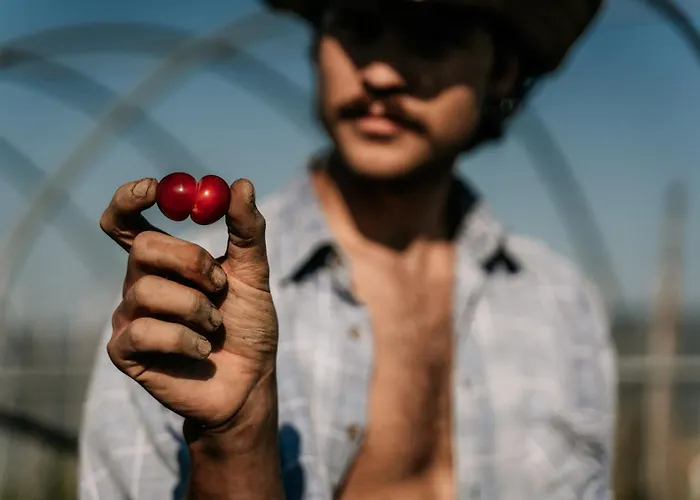 Farm stay Borgo Casa Scaparone Alba (Piedmont)